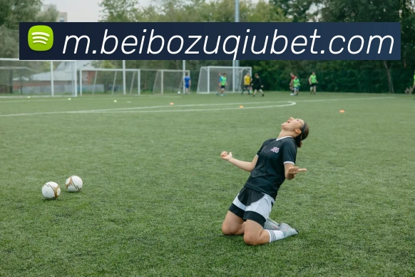 贝博体育APP 高清赛事图